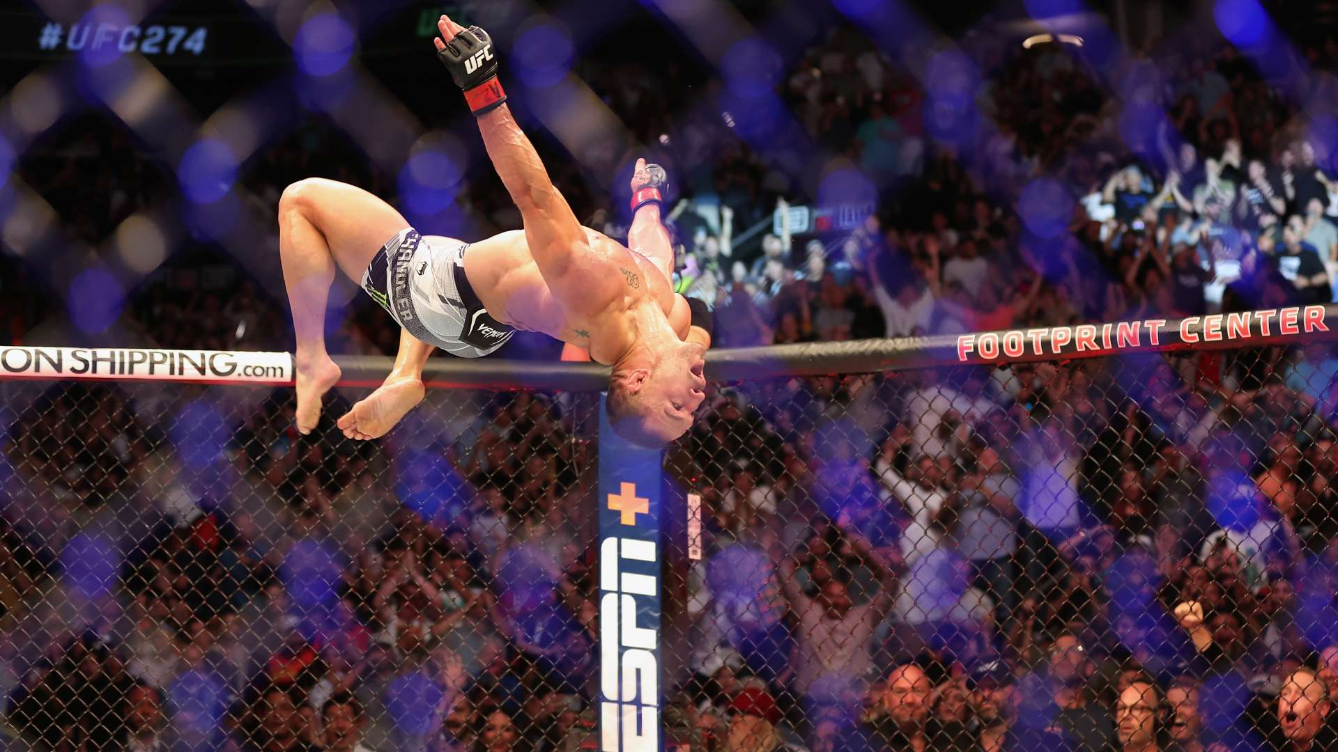 这次报道也 这次报道也